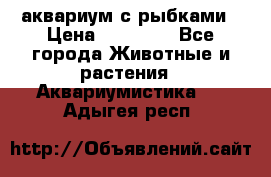 аквариум с рыбками › Цена ­ 15 000 - Все города Животные и растения » Аквариумистика   . Адыгея респ.